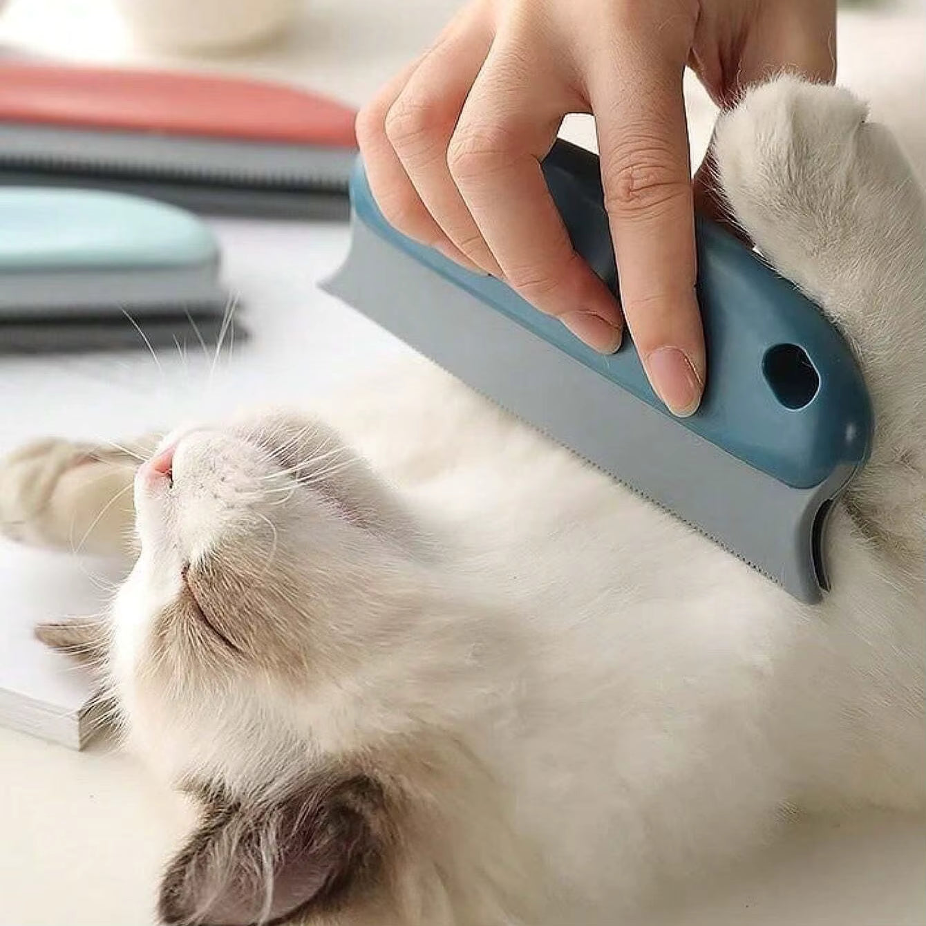 Pet Hair Removal Tool