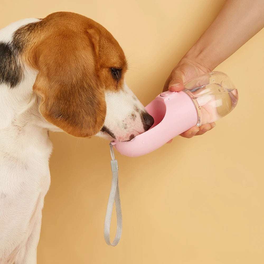 Portable Pet Water Bottle